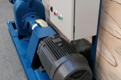 Gorman Rupp Pump Skid with Panel Box