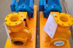 DESMI Pump With WEG Electric Motor